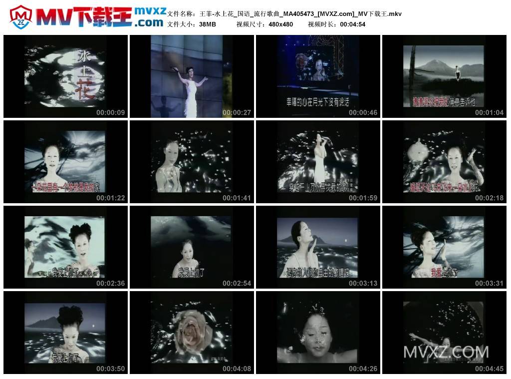 王菲-水上花_国语_流行歌曲_MA405473